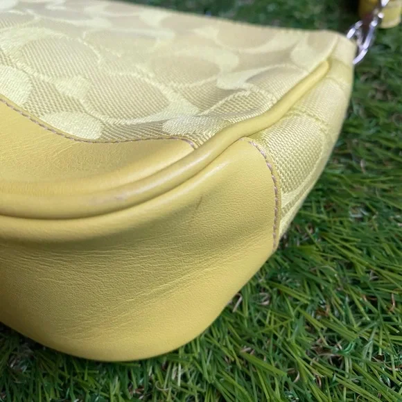 Coach demi purse